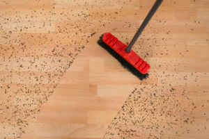 Sweeping dust and debris from a hardwood floor with a red broom, highlighting the importance of cleanliness for HVAC efficiency and indoor air quality.