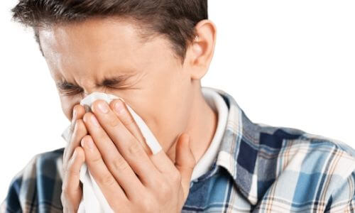 allergy Boutwell's Air
